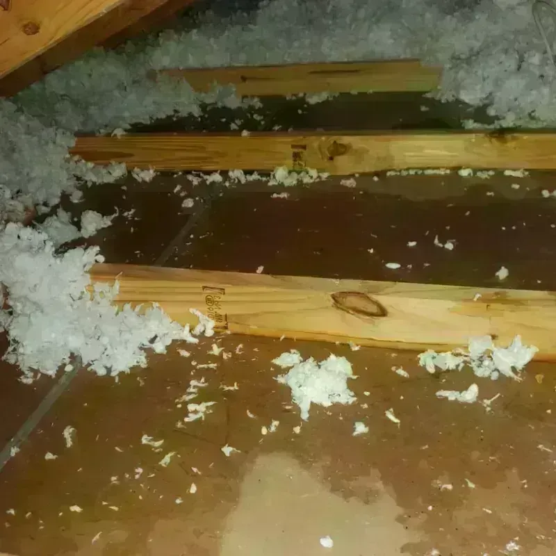 Attic Water Damage in Glasford, IL